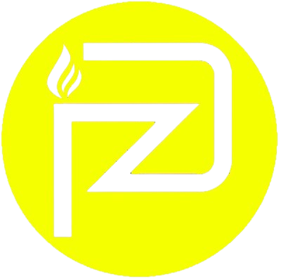 Payzon India Pvt Ltd logo